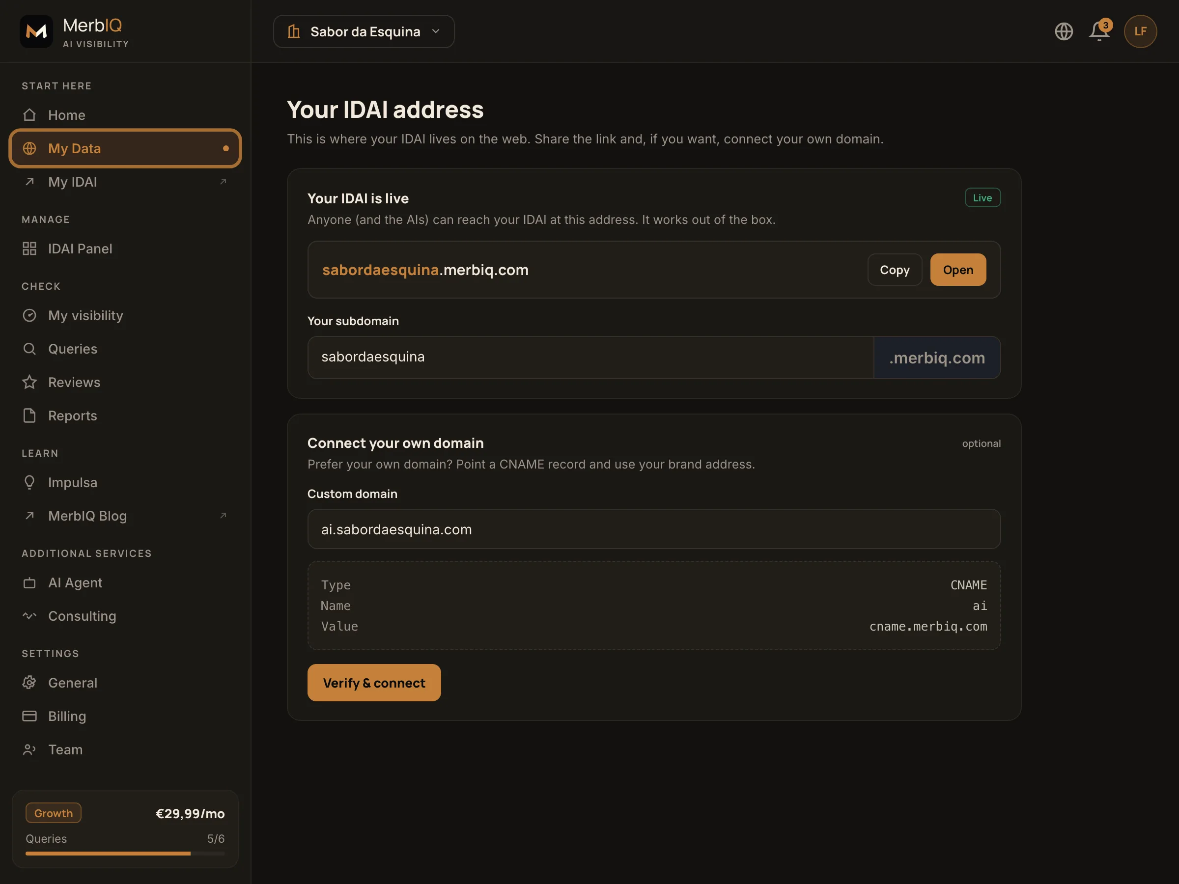 IDAI address screen: your own subdomain, copy button and connect a domain via CNAME