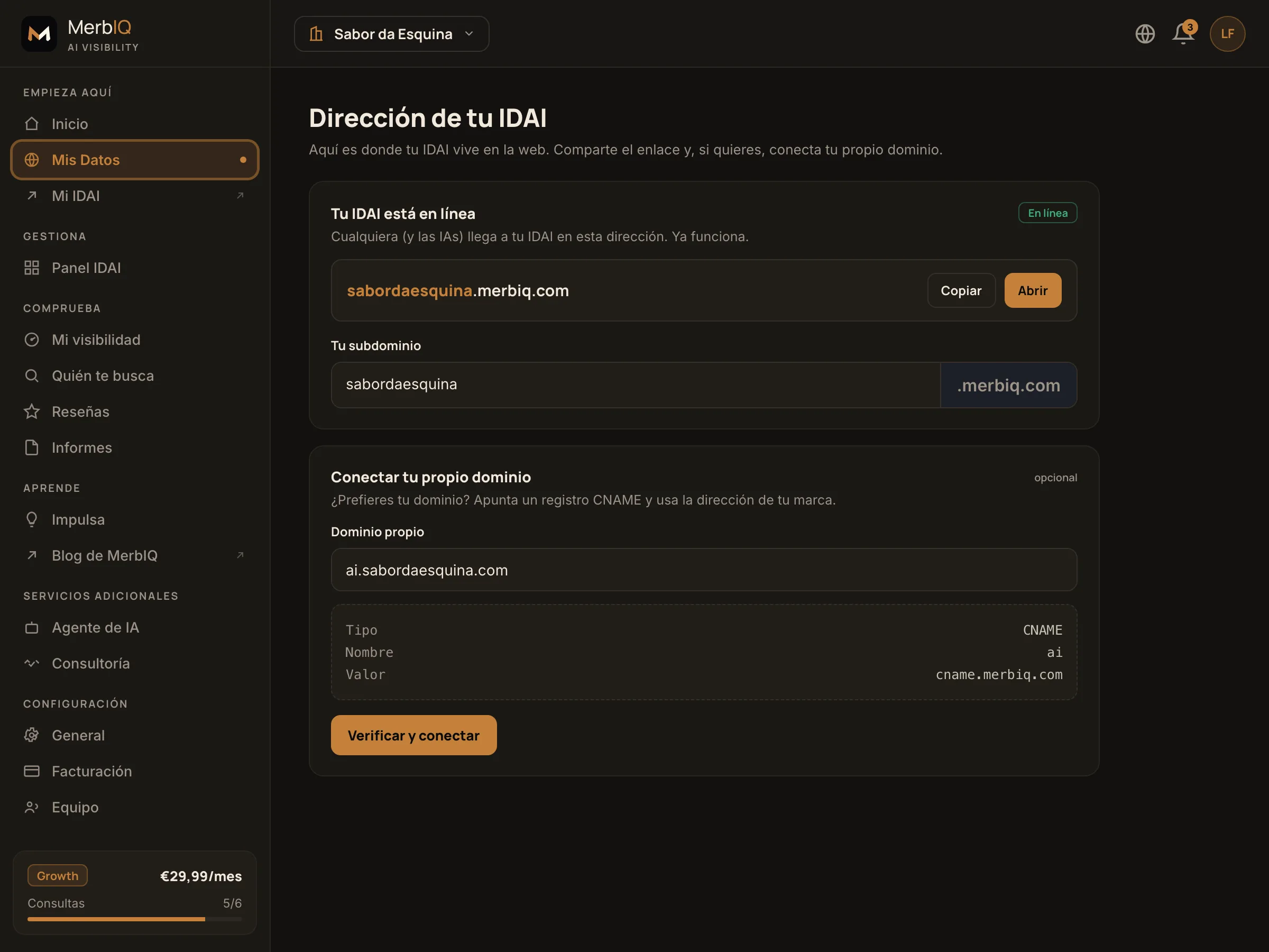 Pantalla de dirección del IDAI: subdominio propio, botón copiar y conectar dominio vía CNAME