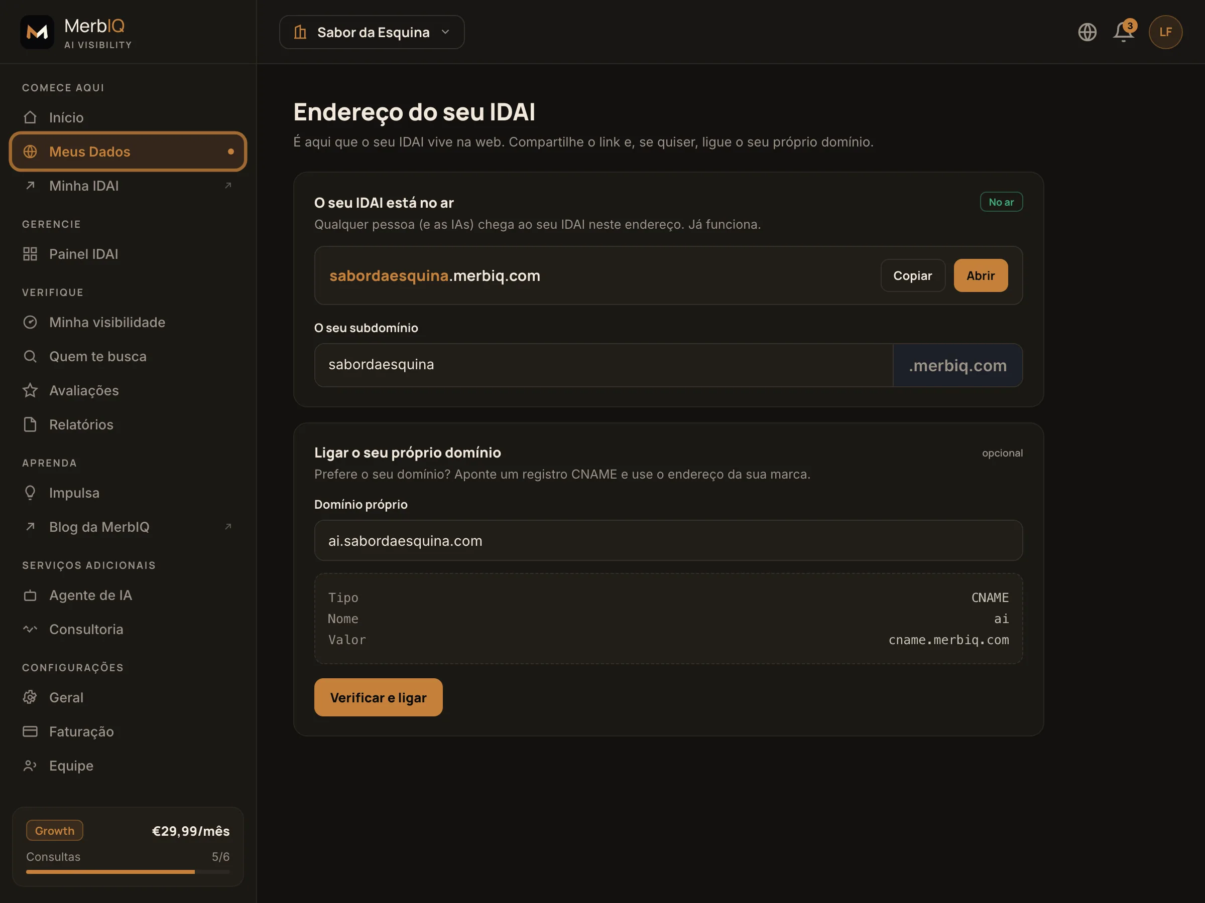 Tela de endereço do IDAI: subdomínio próprio, botão copiar e conectar domínio via CNAME
